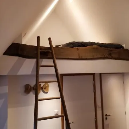 Апартаменты Cosy Dans Maison Alsacienne *